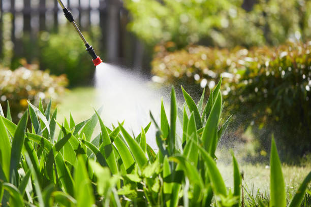 24/7 Emergency Ant Control experts in Rugby, ND